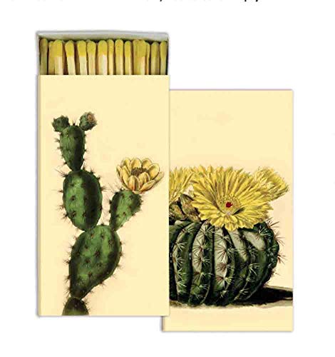 HomArt - Match Box Set of 2 - Cacti