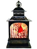 Stony Creek - Frosted Glass - 14" Lighted Lantern - Birch & Cardinals