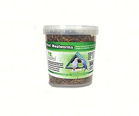 Songbird Essentials SE647 7 oz Tub of Dried Mealworms