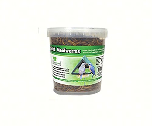 Songbird Essentials SE647 7 oz Tub of Dried Mealworms