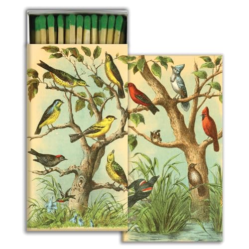 HomArt - Match Box Set of 2 - Bird Studies