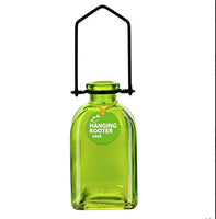 Couronne - Hanging Roma Glass Rooting Vase - Lime