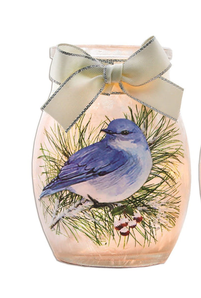 Stony Creek - Frosted Glass - 3" Lighted Vase - Winter Bluebird - Front Facing