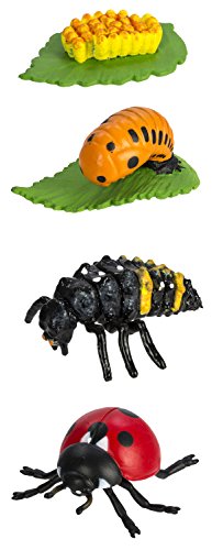 Safari Ltd Safariology Collection - Life Cycle of a Ladybug
