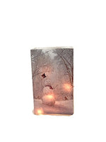 Stony Creek - Frosted Glass - 7.75" Lit Rectangle Vase - Greetings from Frosty