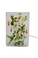 Stony Creek - Frosted Glass - 6" Lit Rectangle Vase - Hummingbirds - Green