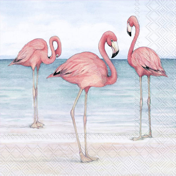Boston International - 3-Ply 5" Cocktail Napkins 20 Count - Flamingo Trio On The Beach