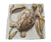 Shayne Greco - 3D Wall Tile - Sea Turtle