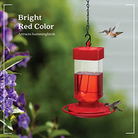 GC - First Nature - Hummingbird Feeder - 32 oz.