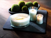 WoodWick - Ellipse Trilogy Candle 16 oz. - White Tea & Jasmine