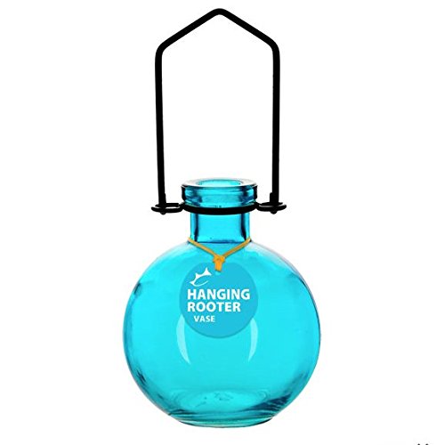Couronne - Large Ball Hanging Rooter Vase - Aqua Blue
