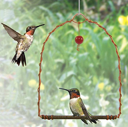 GC - Songbird Essentials - Copper Hummingbird Swing