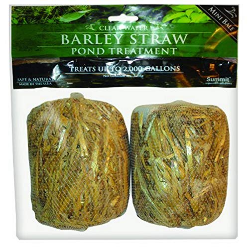 GC - Summit - Barley Straw - Mini Bale Pond Treatment - 2 Count