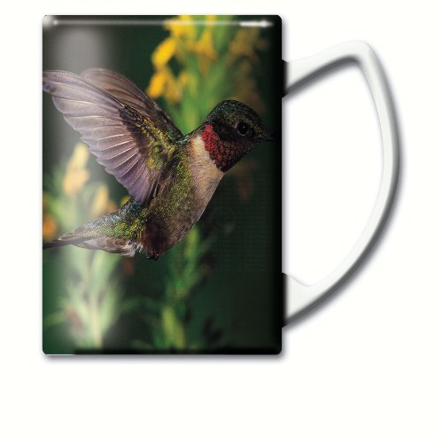 GC - Impact - 14 oz Mug - Ruby Throated Hummingbird