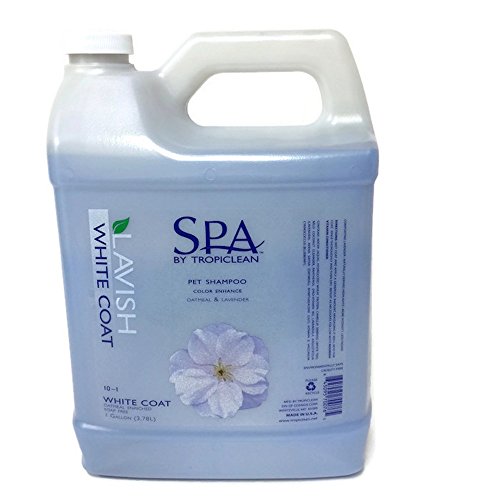 Spa by TropiClean White Coat Shampoo, 1 Gal