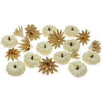 Boston International - Tabletop Mini Boxed Pumpkins - White
