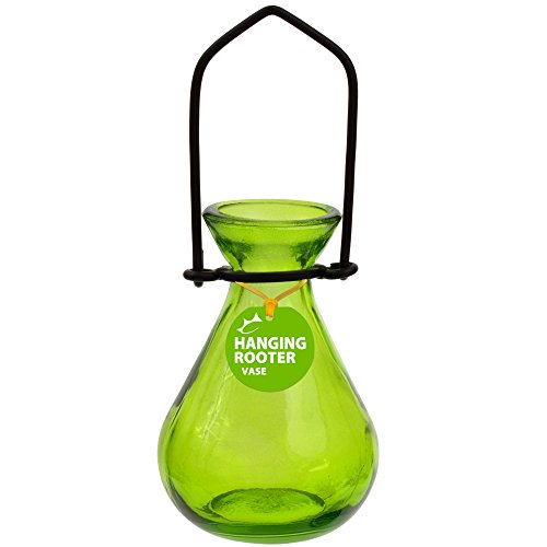 Couronne - Hanging Teardrop Rooter Vase - Lime