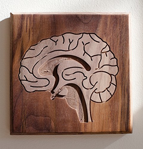 Dave Marcoullier Wood Routings Hanging Wall Art - Brain