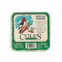 GC - Cole's - 11 oz Suet Cake - Special Feeder