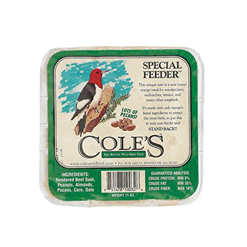 GC - Cole's - 11 oz Suet Cake - Special Feeder
