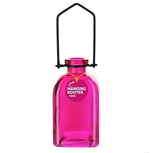 Couronne - Hanging Roma Glass Rooting Vase - Fuchsia