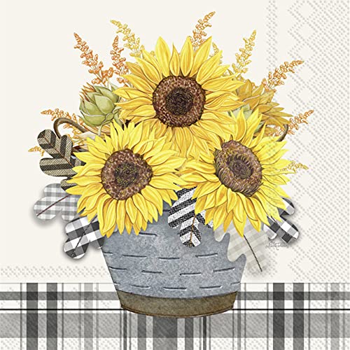 Boston International - 3-Ply 5" Cocktail Napkins - Gingham Sunflowers