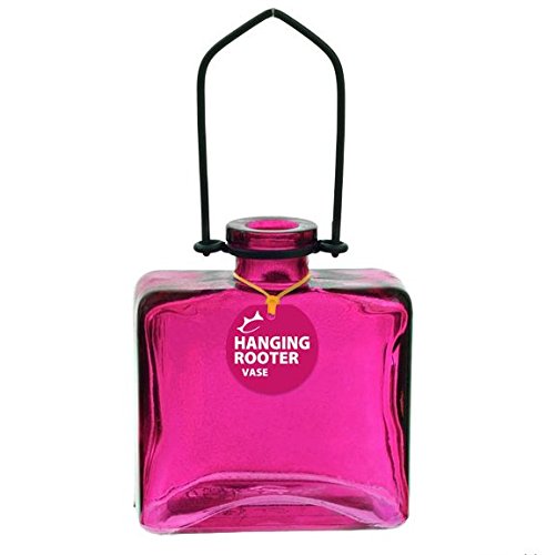 Couronne - Hanging Rectangle Rooter Vase - Fuchsia