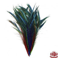 Zucker Feather 10 Bright Jewel Tone Dyed Peacock Sword Feathers