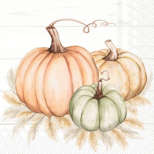 Boston International - 3-Ply 6.5" Lunch Napkins - Pumpkin Trio