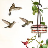 Couronne - Hummble Slim Hummingbird Feeder - Red