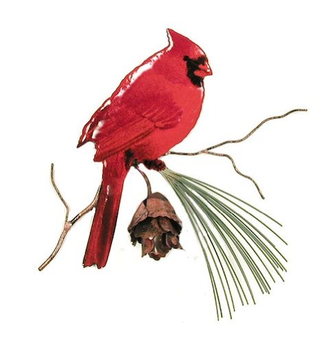 Bovano - Wall Sculpture - Cardinal w/ 3D Pine Cone