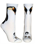 Wheel House Designs - Penguin & Chick on White Socks - 9-11