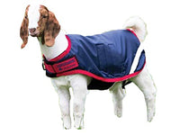 Horseware Ireland - Waterproof Goat Coat -  Navy & Red - Small