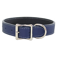Auburn Leather - Tuscany Pet Collar - 14"-16"- Blue