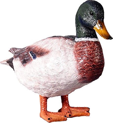 Cool Nauticals Hot Tropicals - Male Mallard Duck