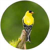 Andrea's Silicone - 8" Non-Slip Trivet - Goldfinch Top of Branch