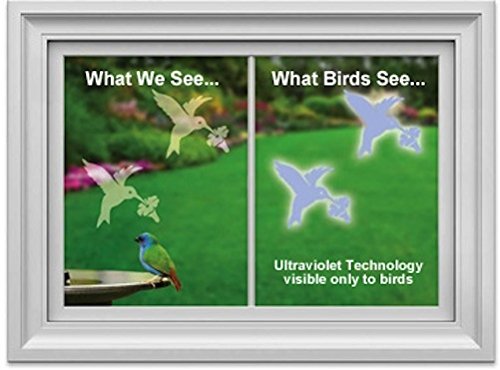 GC - Window Alert -  Window Strike Deterrent - 4 Decals - Hummingbird