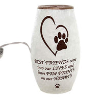 Stony Creek - Frosted Glass - 7" Lighted Vase - Best Friend/Paw Prints